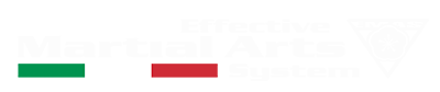 EMAS Effective Martial Arts System